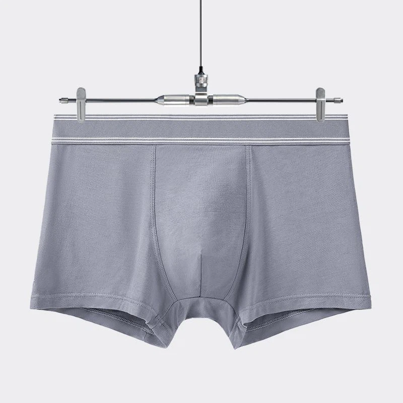 seamless boxer seamless boxer