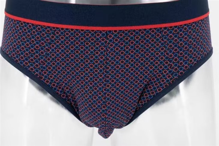 ODM OEM Custom Men's Underwear Briefs factory