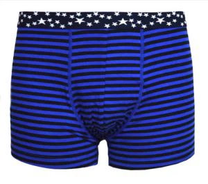 OEM Striped Blue Men's Underwear