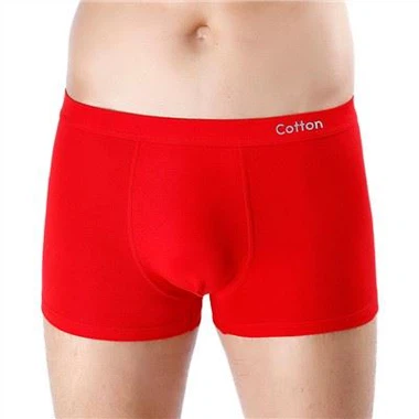 Boxer Trunk Seamless Man Boxer Briefs