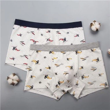 Luxury Male Panties Men's Under Wear