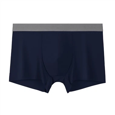 Ice Silk Transparent Men's Underwear