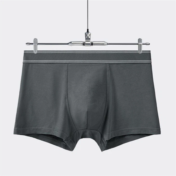customized boxer